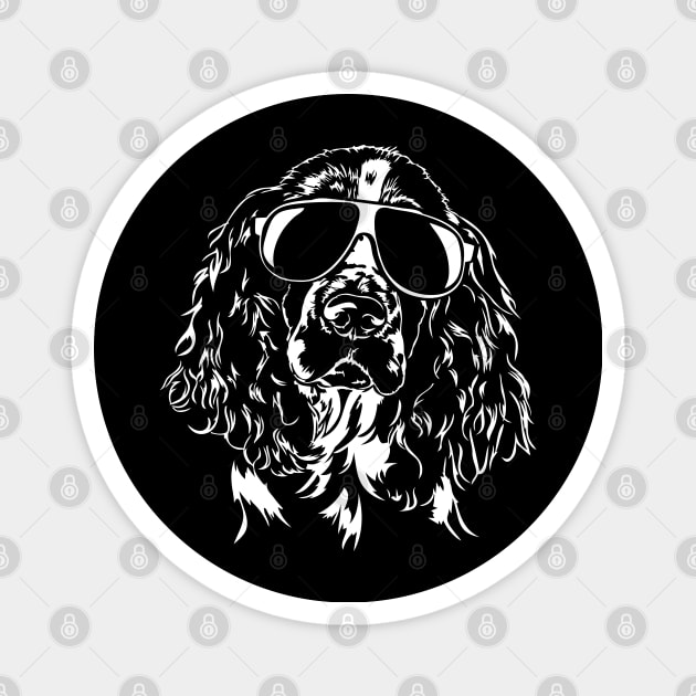 Funny English Springer Spaniel sunglasses cool dog Magnet by wilsigns